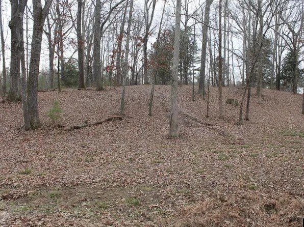 Hinkledale Rd, McKenzie, TN 38201