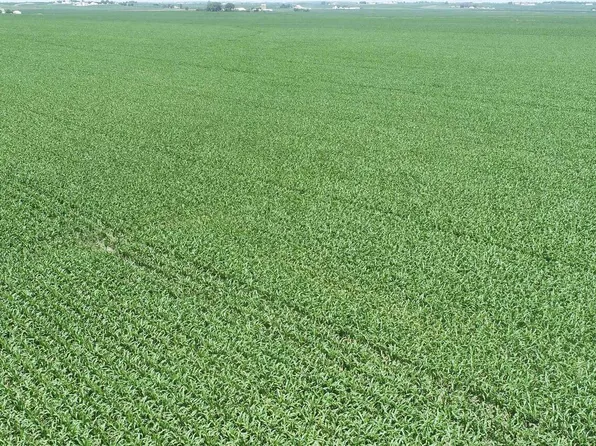 240th St, Low Moor, IA 52757