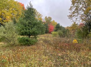 PARCEL Bosschem Rd #G, Wellston, MI 49689