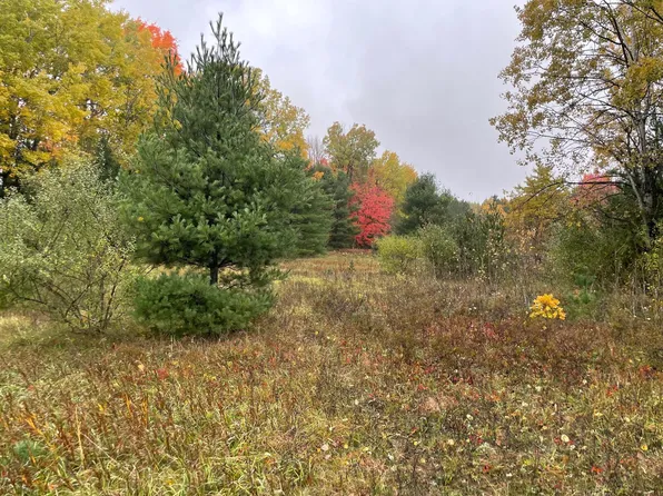 PARCEL Bosschem Rd #G, Wellston, MI 49689