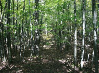 E Taylor Track Rd, Lincoln, MI 48742