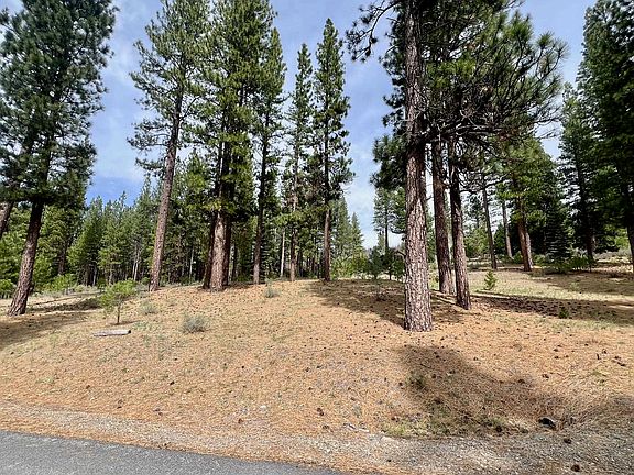 4th image of 153 Saddle Ridge Rd