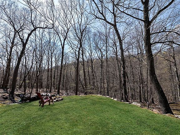 Gorgeous Wooded Lot