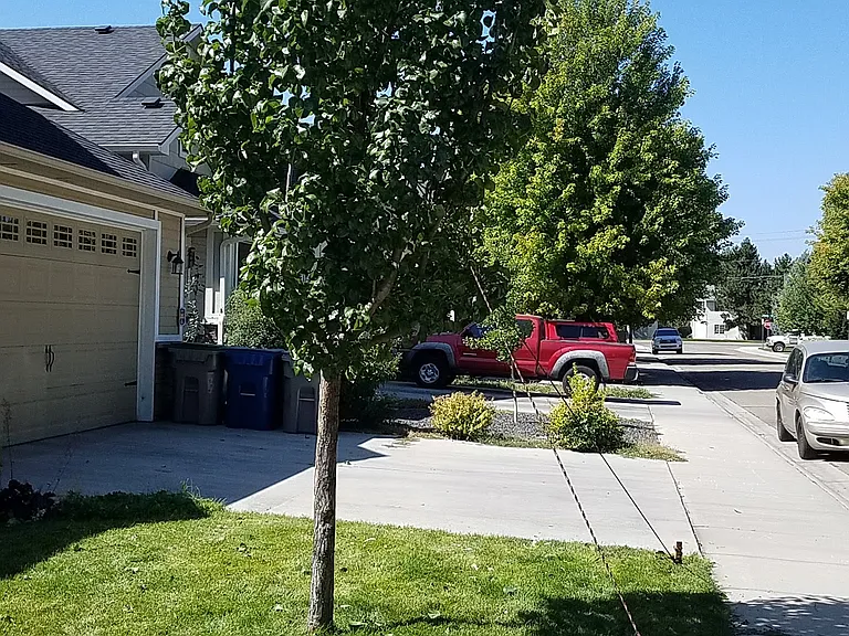 6299 W Filly St — Photo 13