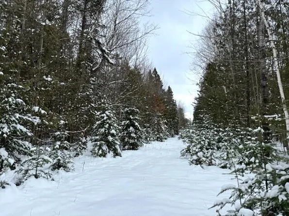 Hayes Ln, Cheboygan, MI 49721