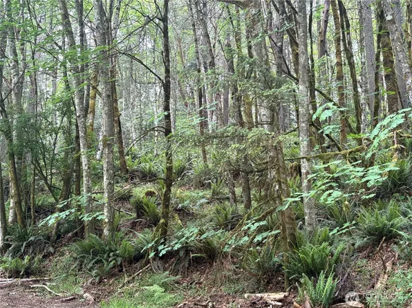 9729 Crescent Valley Drive NW, Gig Harbor, WA 98332