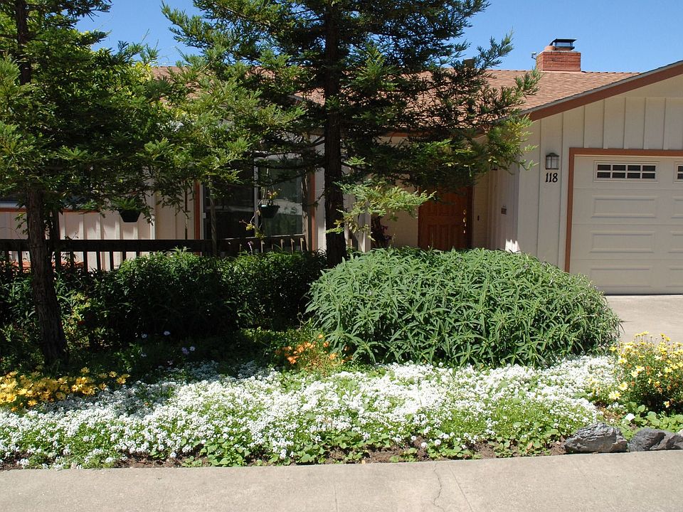Front View (Street Level)