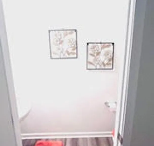 4231 Honeysuckle Vine Dr — Photo 12