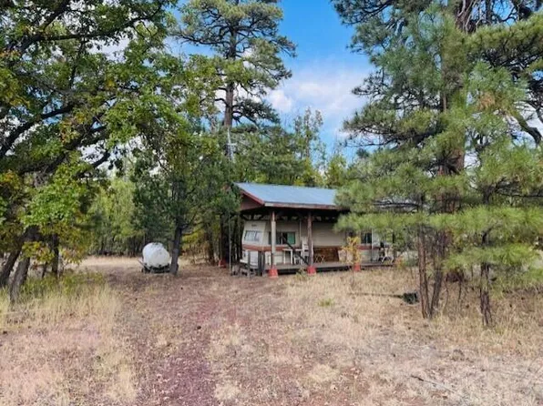 6931 Buckhorn Rd, Happy Jack, AZ 86024