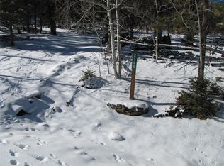 2168 Bellows Rd, Hartsel, CO 80449