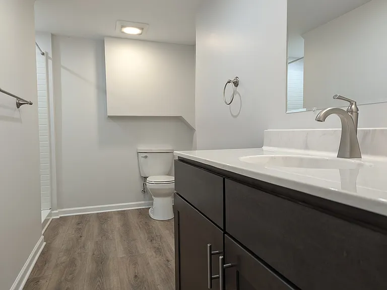 Lower Level Bathroom