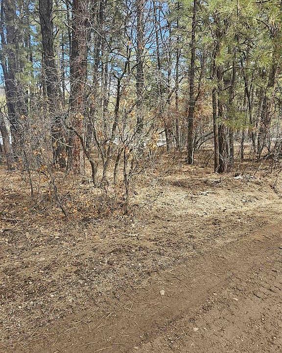 1st image of 379 Spruce Circle