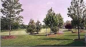 17th Green - Back Yard Views