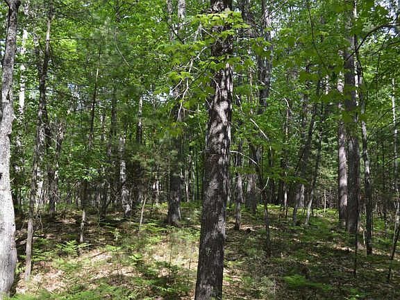 3rd image of Birchwood Dr Lot 11