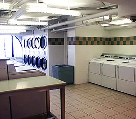 Rented by E and G Realty Group | media 63