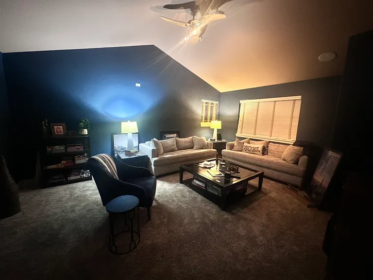 Upstairs large media room