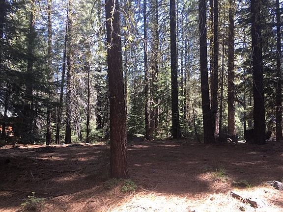 4th image of 7246 Warner Creek Dr