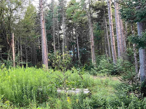 Anderson Road, Peru, VT 05152