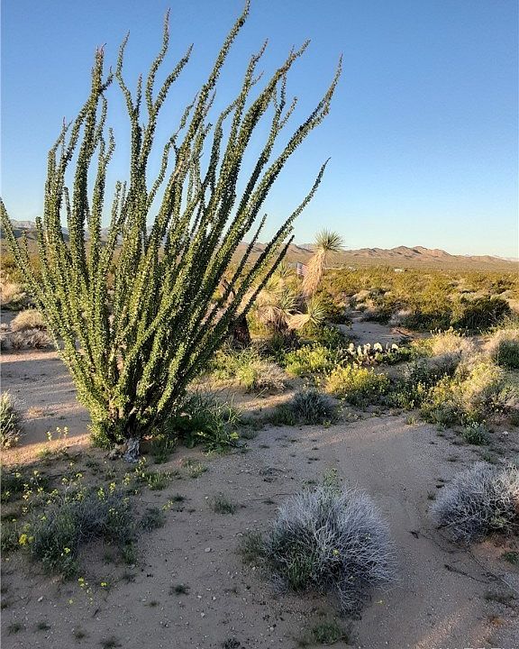 LOT 77 S Aripine Rd, Yucca, AZ 86438 Zillow