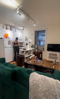 Rented by Manhattan Dwelling Corporation | media 23