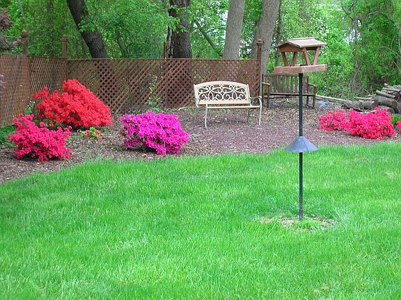 Park Like Back Yard 