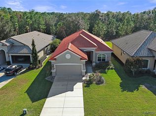 1454 W Laurel Glen Path, Hernando, FL 34442
