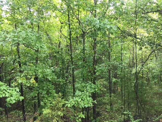 2nd image of 857 Palm Rd