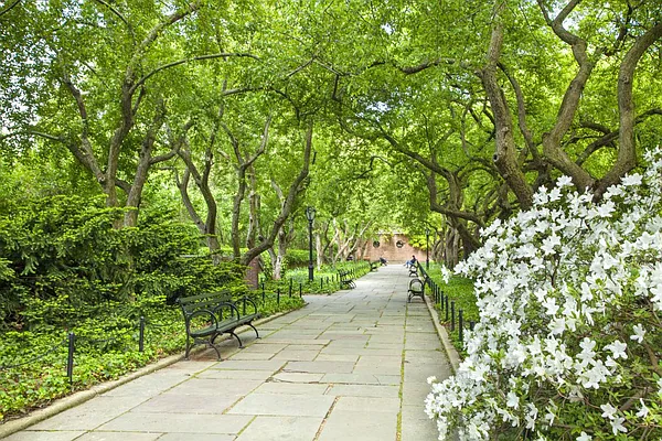 Rented by Stribling | media 22