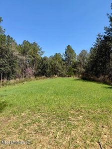 Lower Woodville Rd, Woodville, MS, 39669
