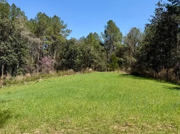 Lower Woodville Rd, Woodville, MS 39669