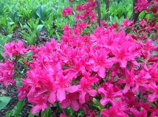 1117 Lancaster Rd, Takoma Park, MD 20912