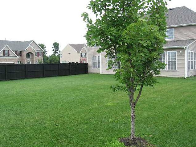 2nd image of 3208 Gaskin Ct