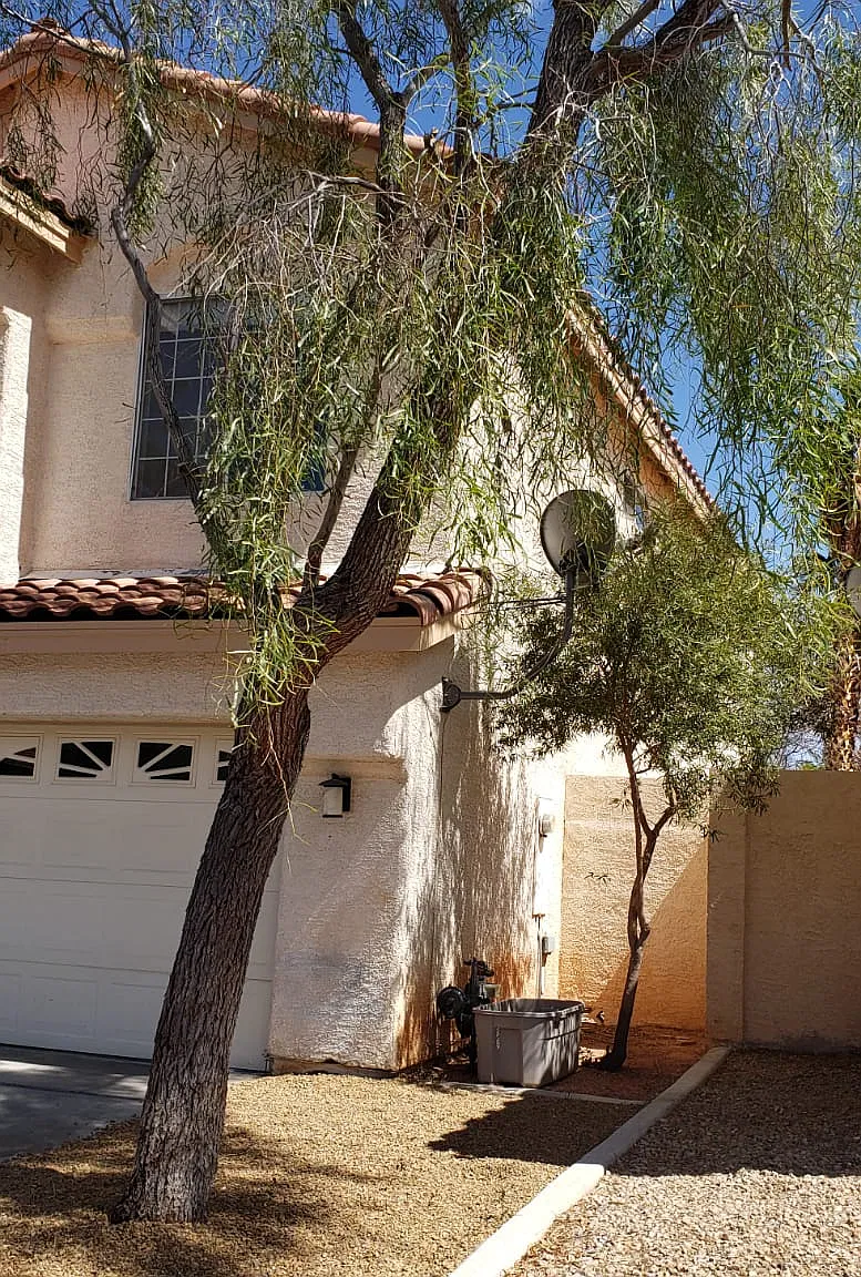 1720 Mexican Poppy Street - 1 — Photo 2