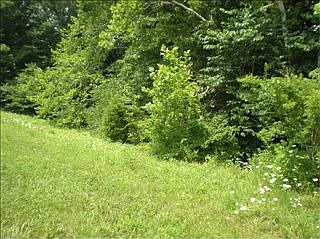 2nd image of 272 Avawam Dr