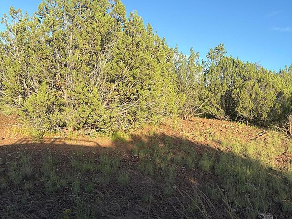 2nd image of 337 N 8269th
