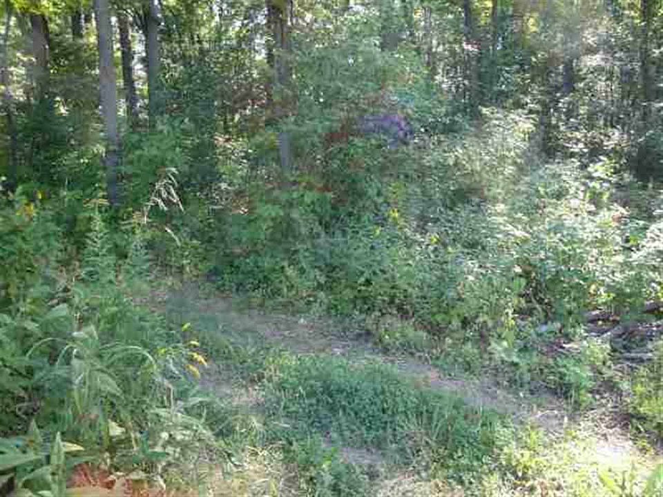 1st image of Munz Dr
