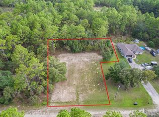 SW 134th Ave LOT 2, Dunnellon, FL 34432