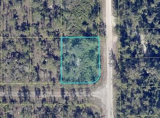 302 Spokane Ave, Lehigh Acres, FL 33972