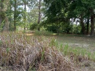 SW 141st Ter, Ocala, FL 34481