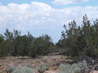 LOT-83A Witch Well Rnch LOT 83A, Saint Johns, AZ 85936