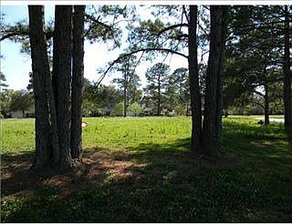 4th image of 115 Tiana Cir