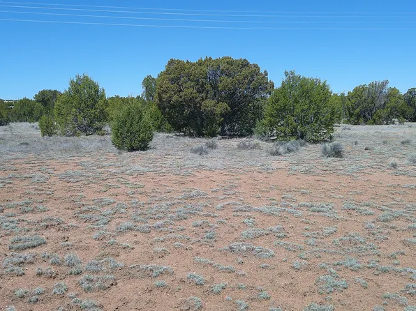 Concho Hwy, Concho, AZ 85924