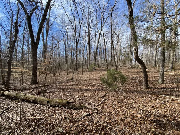 7119 Old Cox Pike, Fairview, TN 37062