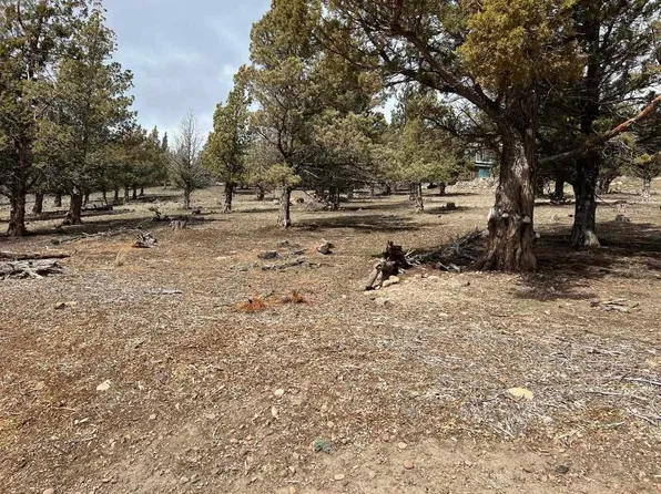 2 Rainbow Dr Lot 97, Weed, CA 96094