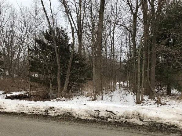 2506 Hemlock Rd, Eden, NY 14057