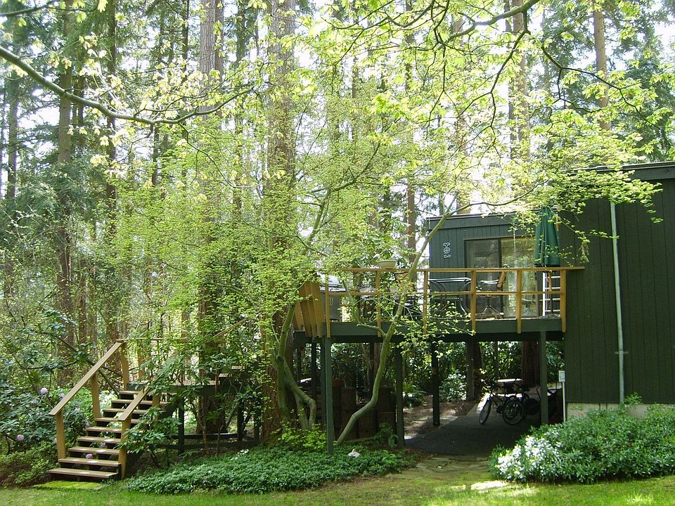 Back Deck and Yard