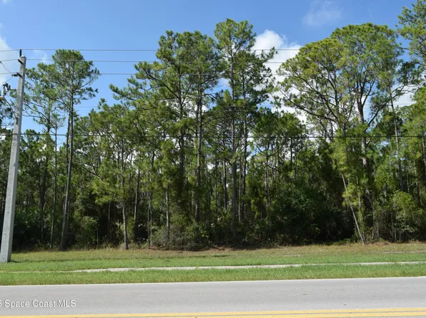 206 Emerson Dr NW, Palm Bay, FL 32907