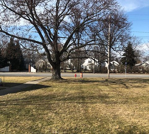 View from Front yard