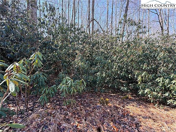 3rd image of 545 Pinnacle Ridge Road