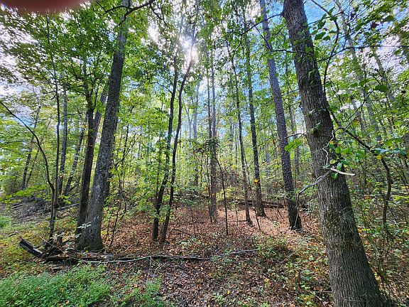 4th image of 17 Whitetail Dr